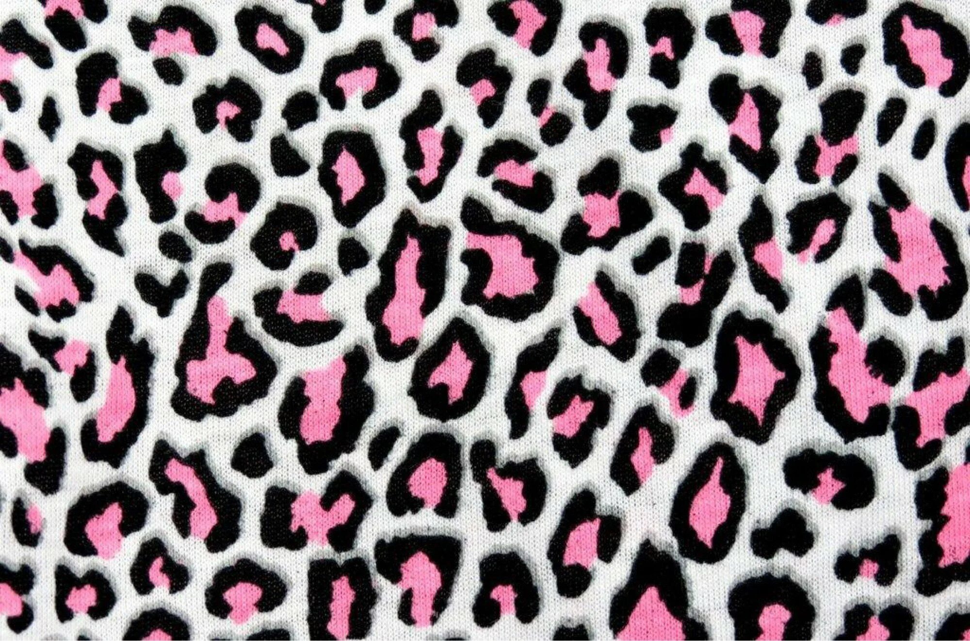 Animal pattern