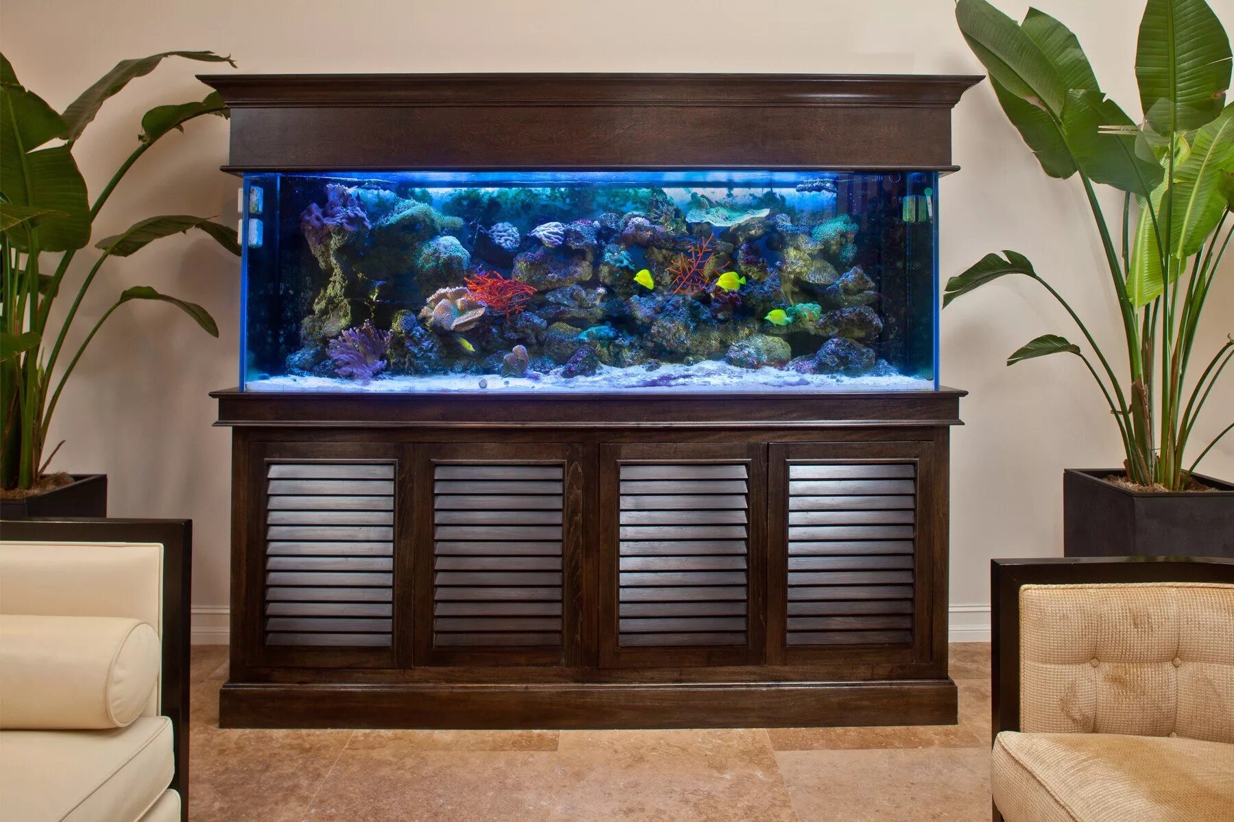 аквариум biorb flow 15 led. аквариум. Fluval edge 23. лучшие аквариумы. необычные аквариумы.