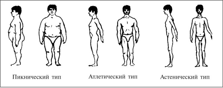 Пикник атлетик. Пикнический Тип телосложения. Астенический атлетический и пикнический типы. Типы телосложения астенический пикнический атлетический. Типы телосложения Атлетик астеник.