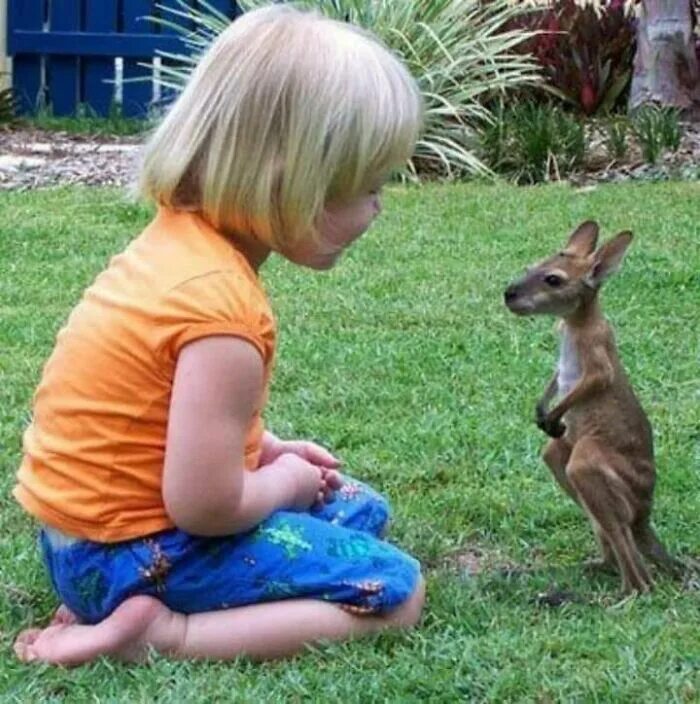 15 Dogs And Their Baby Best Buddies Dogs and kids, Baby dogs, Animals for kids