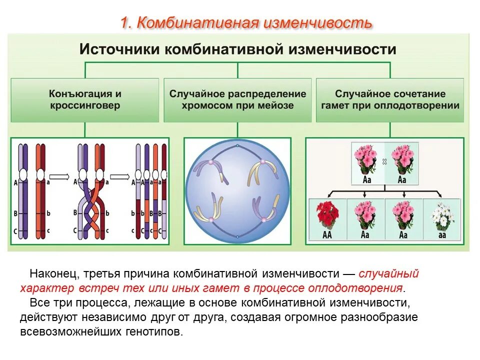 Мутация передается