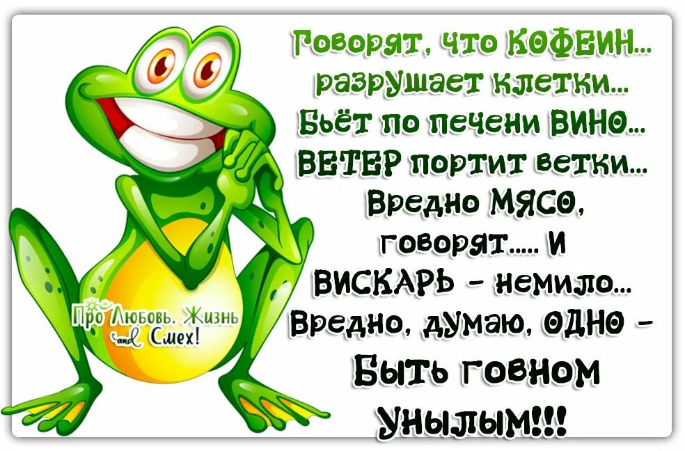 Ржачные приколы картинки со смыслом. Смешные статусы в картинках. слова со смыслом. открытки весёлые со смыслом. юмор в картинках со смыслом.