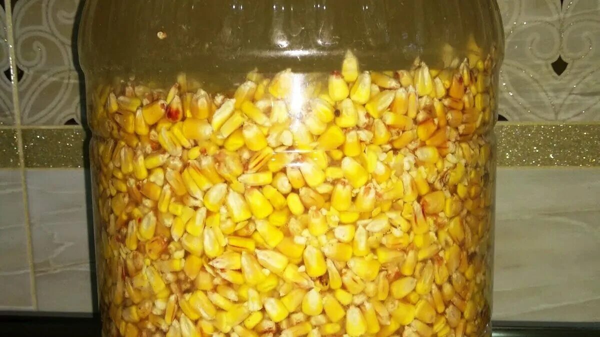 Как приготовить пьяную кукурузу для рыбалки