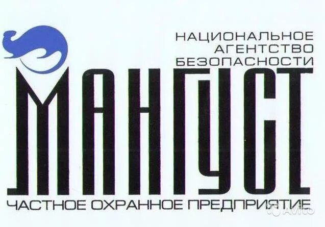 Чоп Мангуст Пенза. Охранное агентство Мангуст. ООО ЧОО аб Мангуст Пенза. Значок Мангуст безопасности.