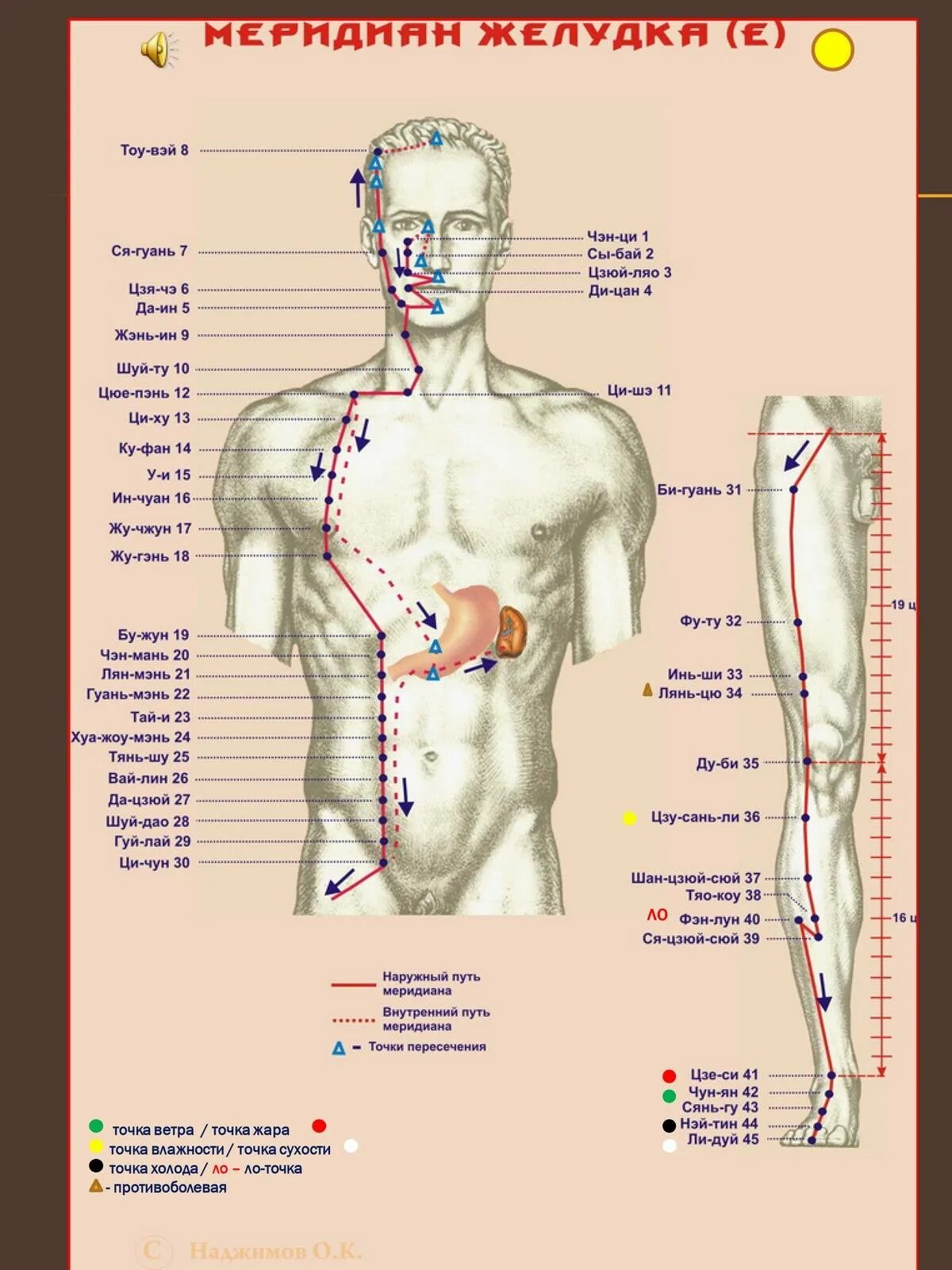 Названия точек человека. Акупунктурные точки и меридианы на теле человека. Меридианы и точки акупунктуры атлас. Акупунктура меридианы тела человека схема. Меридианы человека схема и точки акупунктуры.
