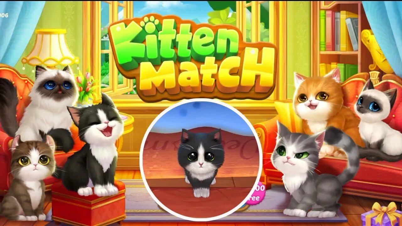 Kitten match мод. Kitten match игра. kitten match китти. котята из игры kitten match. абу из игры kitten match.