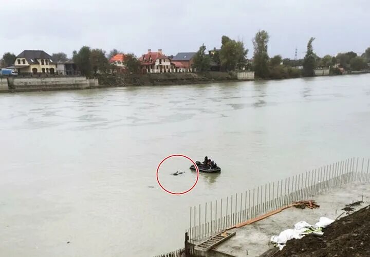 Температура воды в реке кубань. Уровень реки Кубань. Девушка утонула в реке Кубань. Река Кубань утопленники.