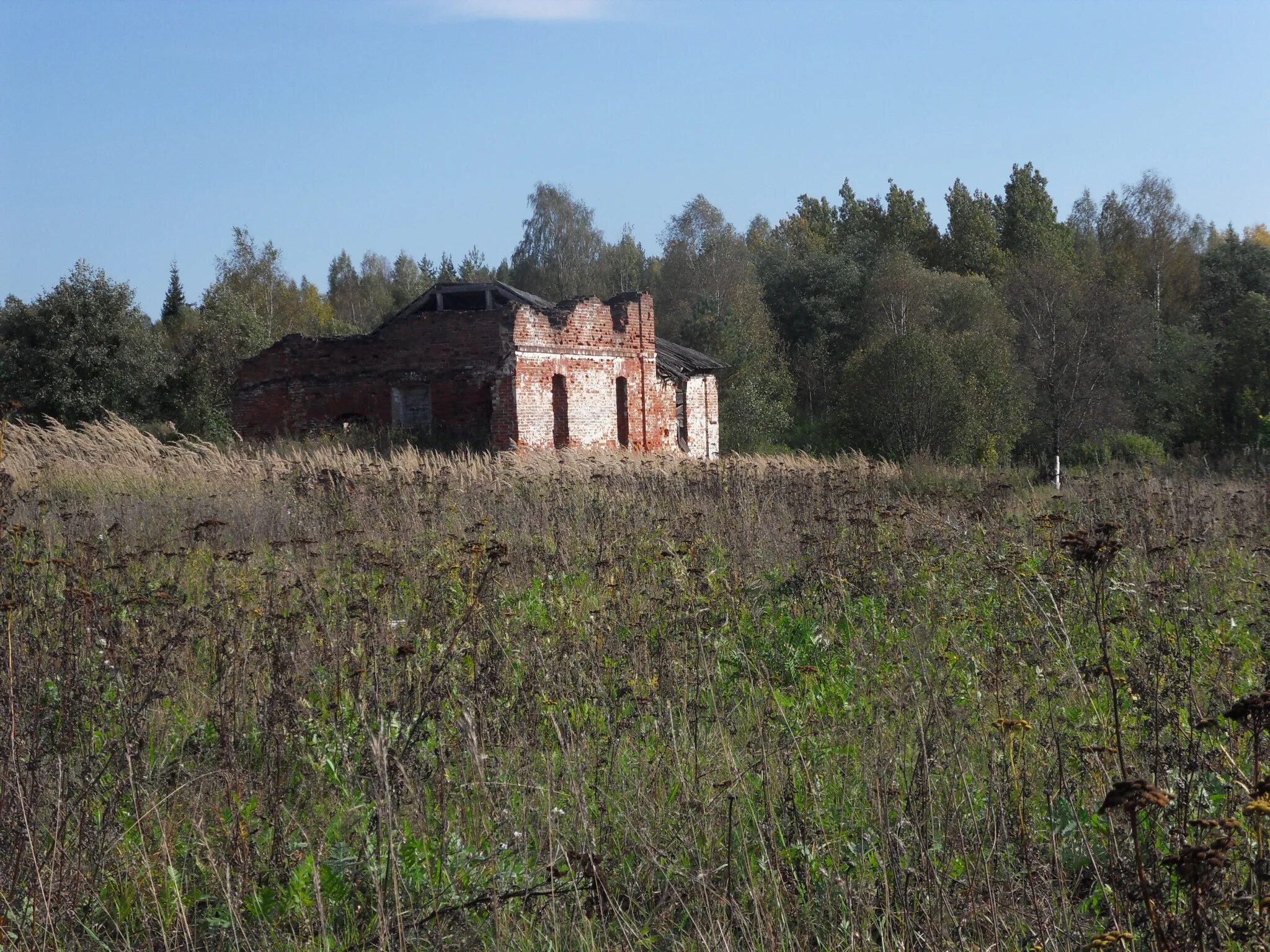 Первушино костромская область. Первушино костромская область. Первушино костромская область. Первушино костромская область. Первушино поселок.