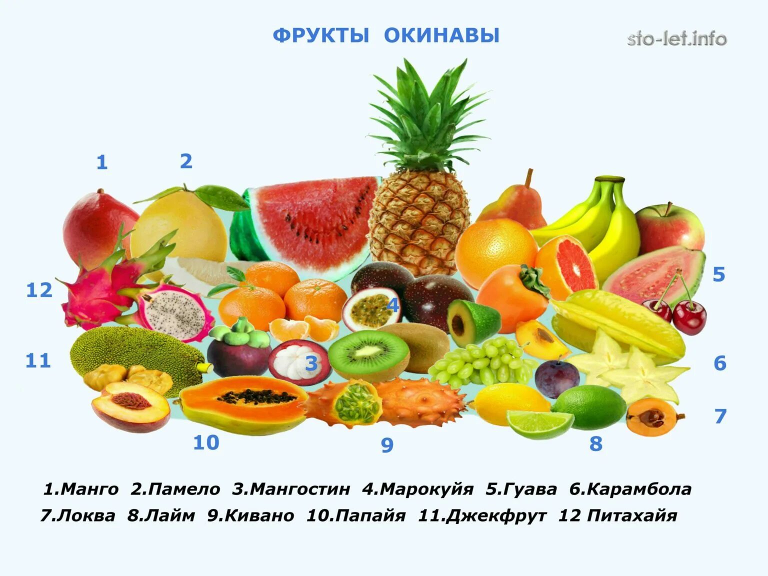 Список долголетия. Продукты долгожителей. Продукты для долголетия. Еда долгожителей. Список продуктов для долголетия.