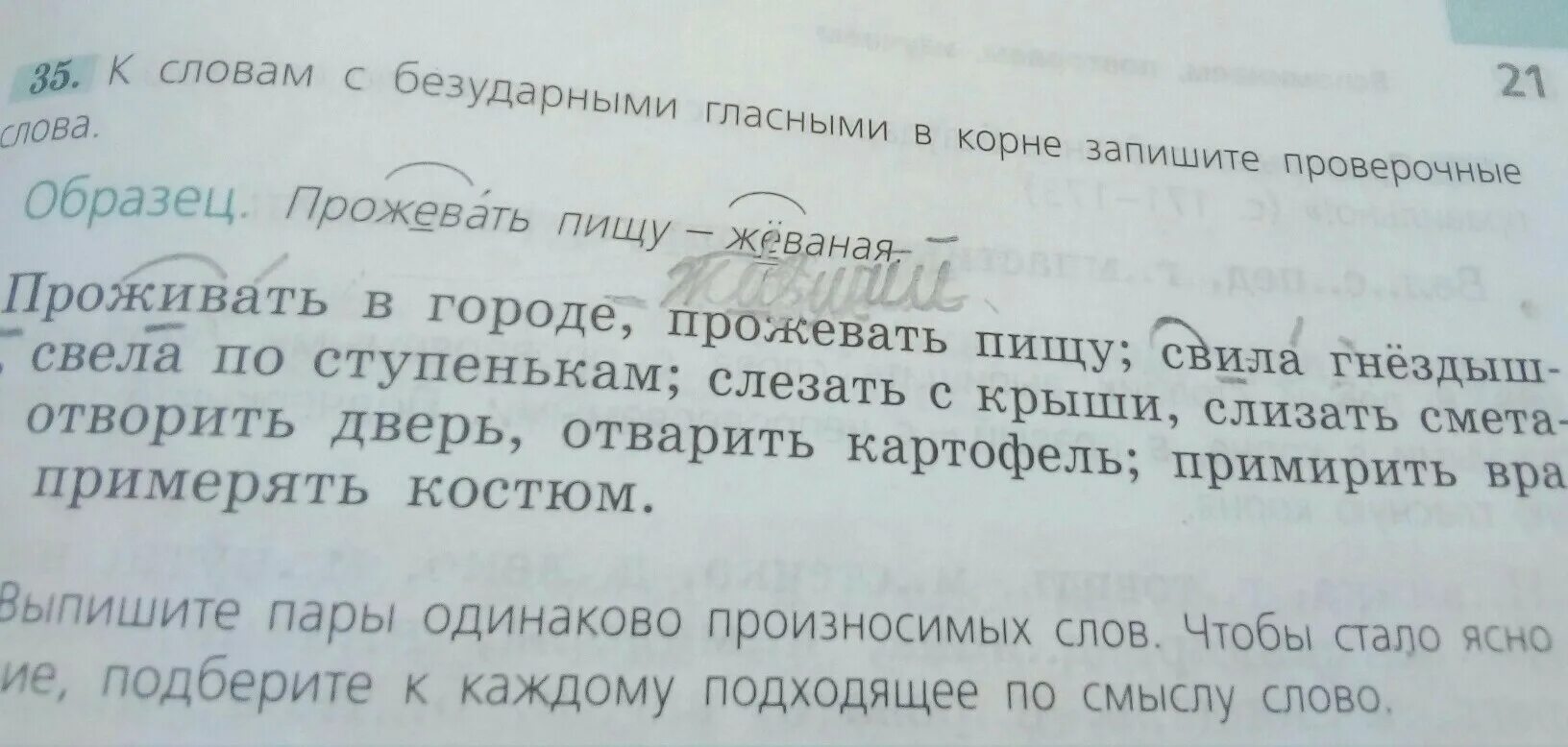 Проверочное слово к слову жил. Прожевать проверочное слово. Проверочное слово к слову прожевать. Прожевать проверочное слово к нему. Проживать в городе проверочное слово.