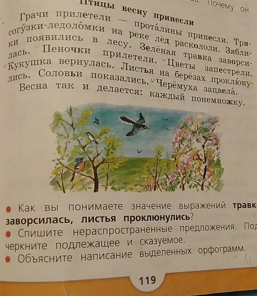 Впр 8 класс русский раннее весеннее утро. Птицы весну принесли Грачи прилетели проталины принесли. Рассказ Сладкова птицы весну принесли. Грачи прилетели предложение.