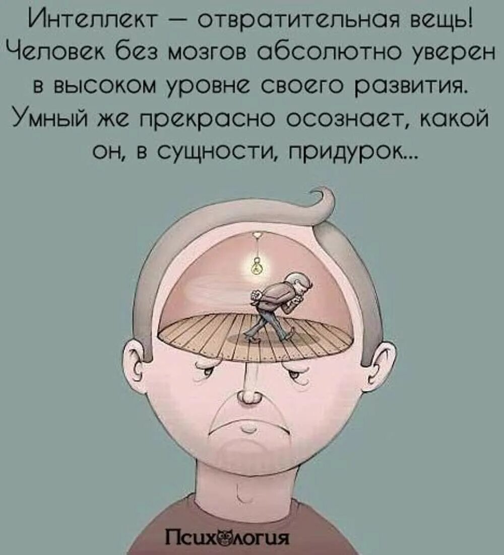 Анекдот про мозг. Цитаты про мозги. Без мозгов. Шутки про отсутствие мозга. Цитаты про мозги смешные.