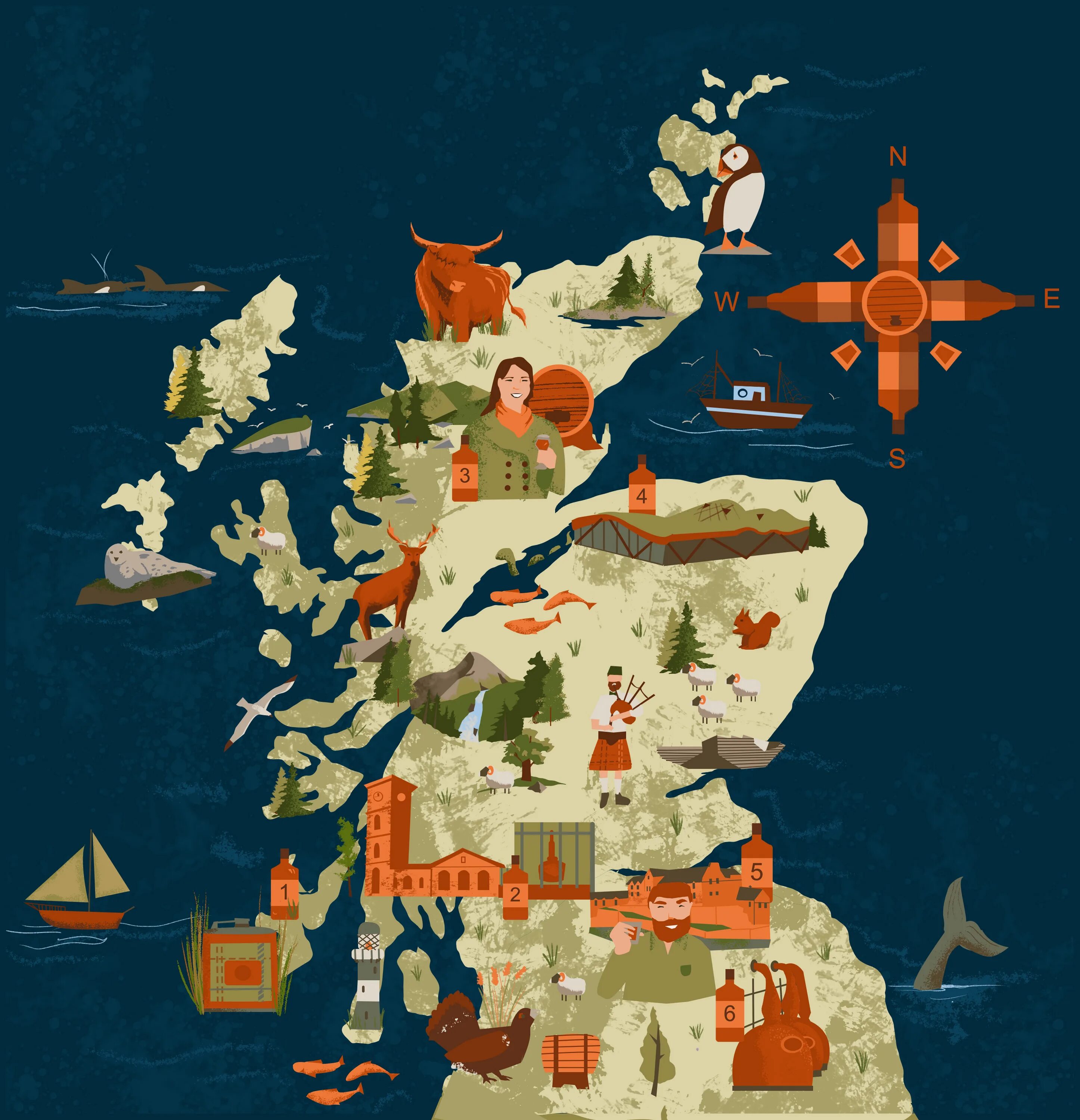 Карта в иллюстраторе. Интерактивная карта иллюстратор. Map of Scotland illustration. Петербург карта иллюстратор.