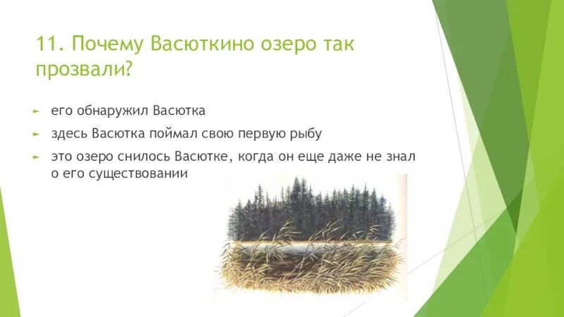 Почему васютка показал озеро рыбакам. В.П.Васюткино озеро. Почему рассказ назвается восбткина озпра. Почему рассказ называется Васюткино озеро. Почему рассказ назван Васюткино озеро.