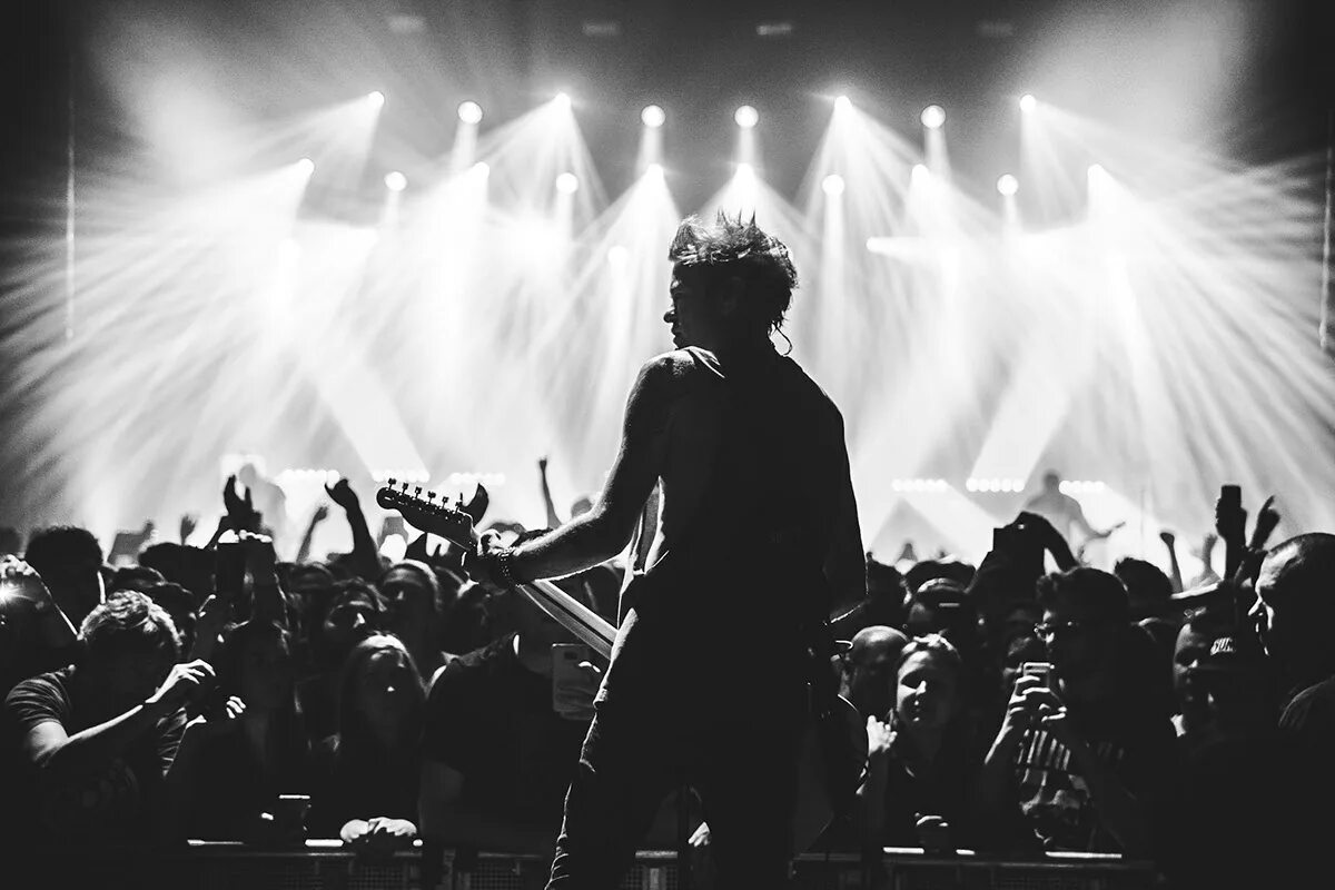 Sum 41. Мемная фотография с концерта. Sum 41 выступление. Architects Band photo Concert.