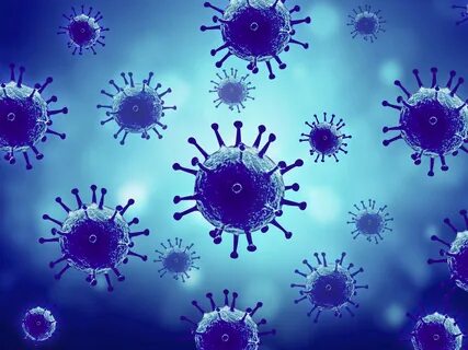 Virus international