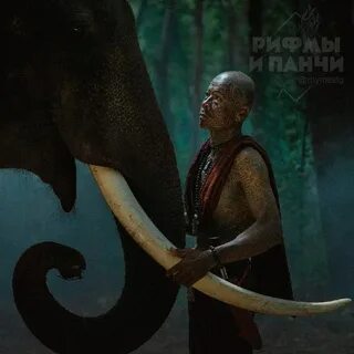 Зе фира