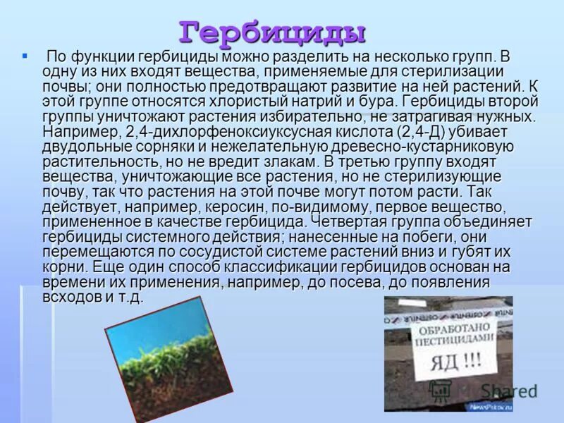 Последствия гербицидов. Гербициды презентация. Использование гербицидов. Пестициды и гербициды. Влияние пестицидов на растения.