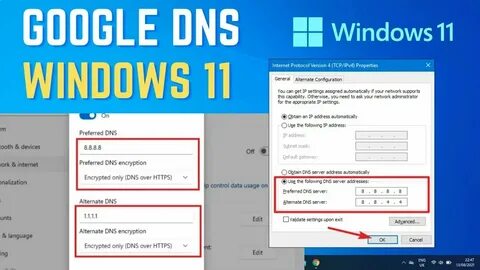 8.8 8.8 dns query