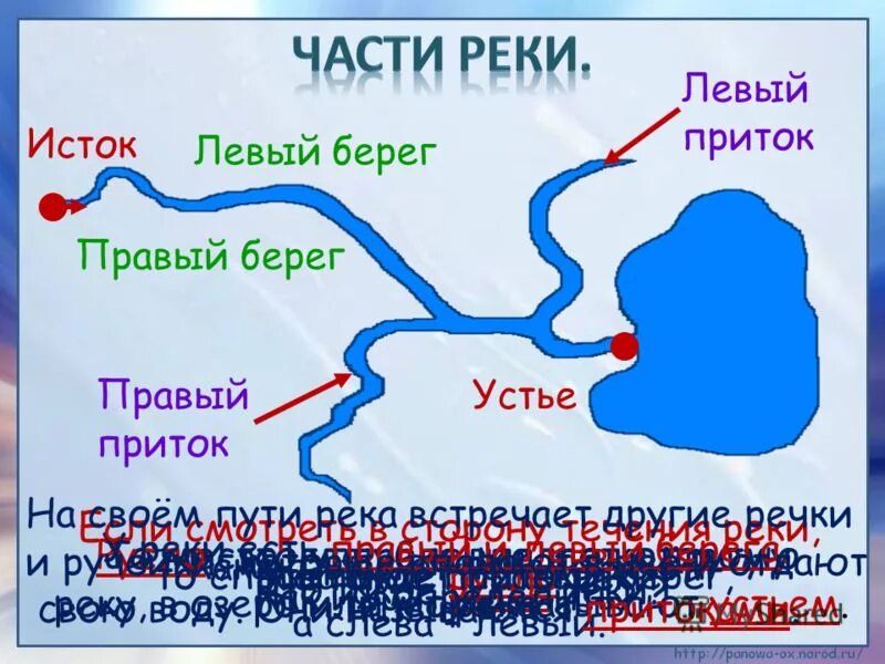 Береги правый. Исток приток Устье реки. Что такое Устье реки и Исток и русло и приток. Река Нева Исток Устье русло. Река приток Устье русло Исток Устье.