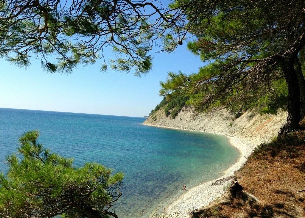 Хутор Бетта черное море. Черное море Криница Бетта. Базы черноморского побережья