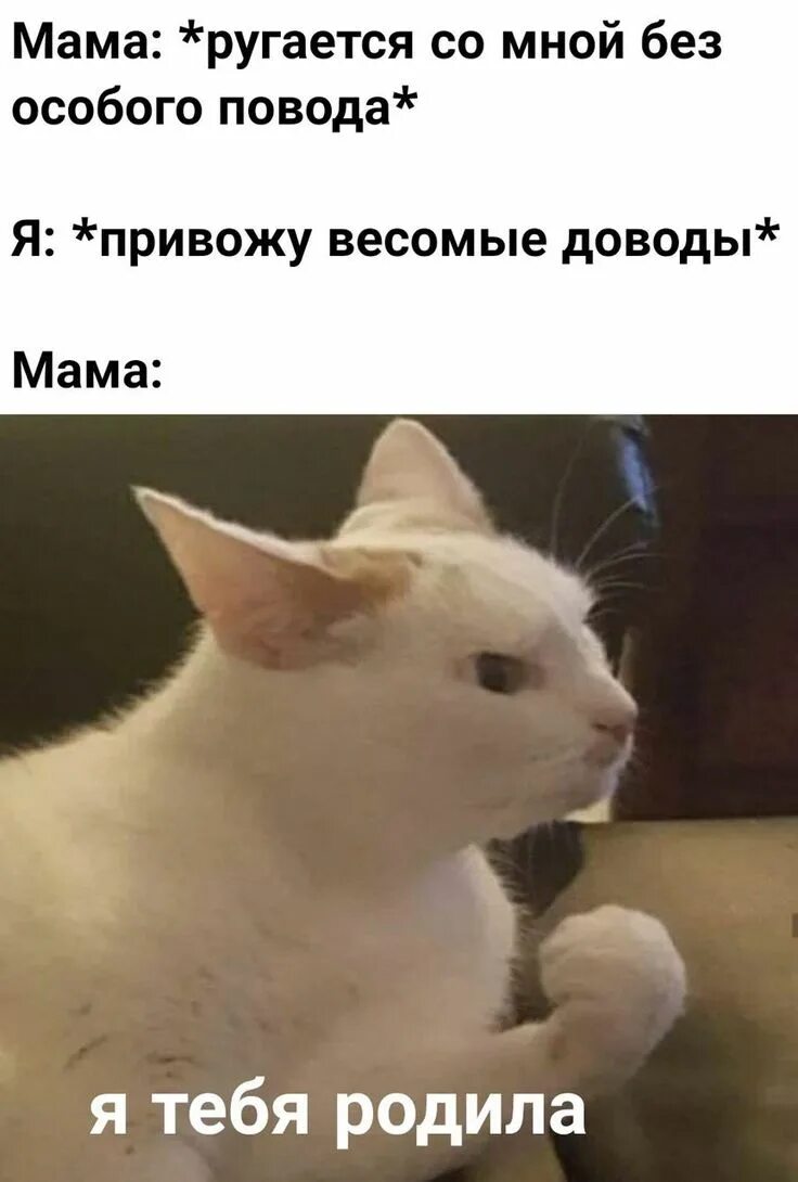 Пин на доске Мемы в 2024 г Смешные мемы, Мемы, Смешно