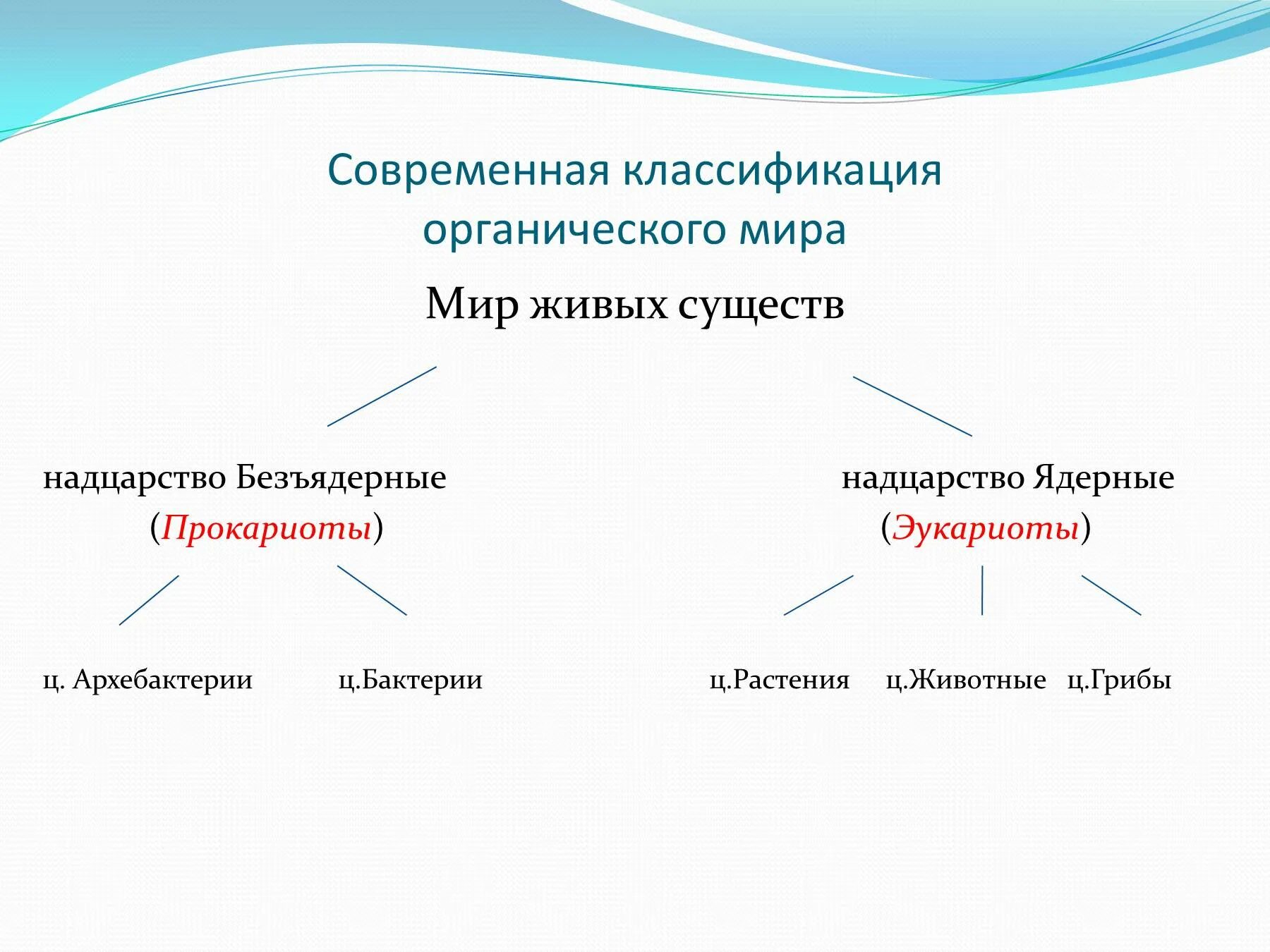 Живое существо таблица. Современная классификация.