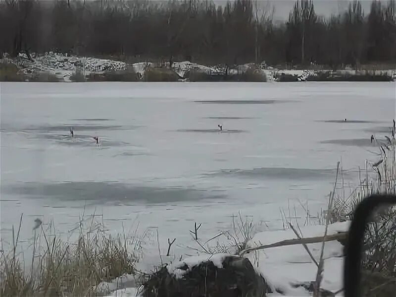 Основянске озеро основянское. Основа озеро. Река пахорка комсомольское озеро. Большое яровое озеро алтайского края. Озеро основа харьков.