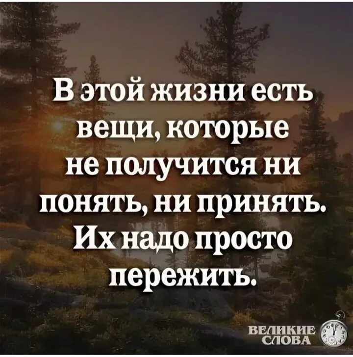 В этой жизни есть вещи которые. Надо жить цитаты. Переживем и это цитаты. В жизни так бывает цитаты. Надо было просто жить