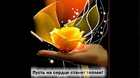 Видео для ватсап с пожеланиями
