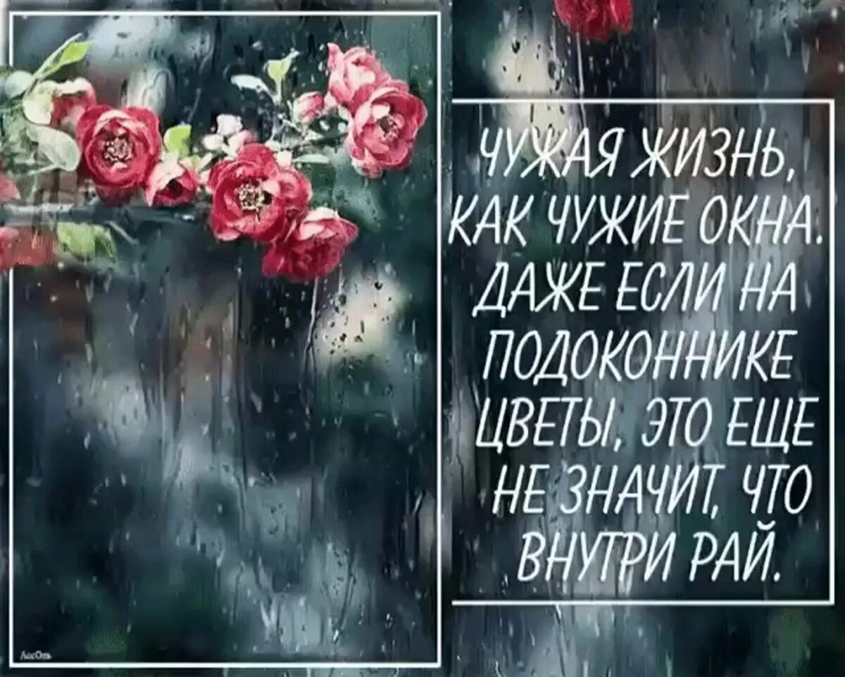 Высказывания про цвета. Фразы про цветы. высказывания про цветы. высказывания о жизни и цветах. красивые цитаты с цветами.