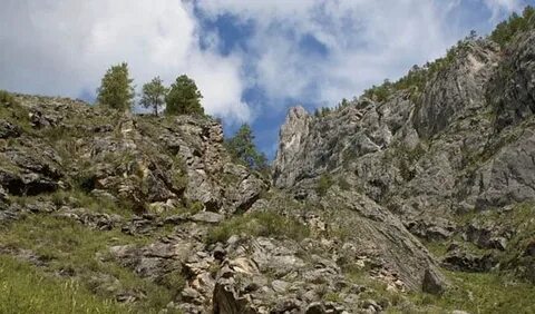 Алтай 21