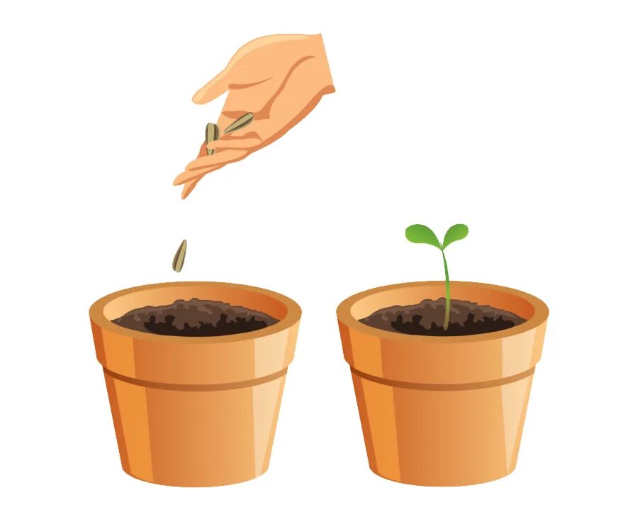 Горшок для цветов с землей. Посадка семечка в горшок. Засеянный горшочек. Засеянный горшочек. Стаканчики для рассады из бумаги.
