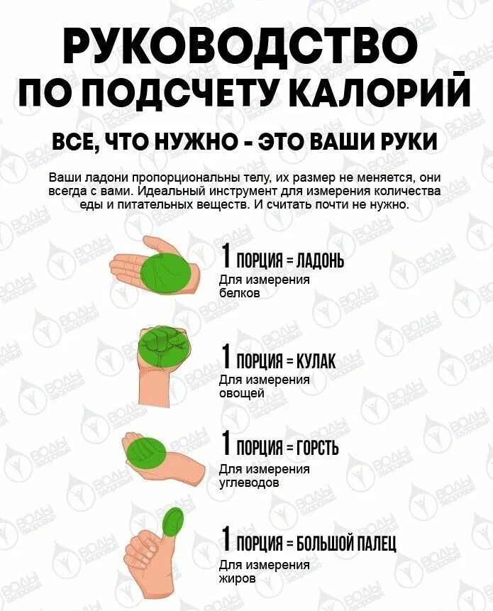 Как пользоваться подсчетом калорий. Подсчет калорий. как подсчитать калории. как считать калории в еде без весов. как считать калории чтобы похудеть.