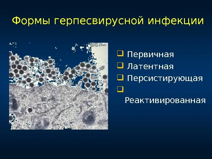 Учебник по инфекционным болезням. Персистирующее герпетическая. Персистирующее герпетическая. Профилактика рецидивов герпетической инфекции. Персистирующее герпетическая.