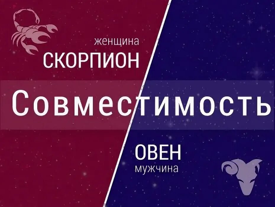 Мужчина скорпион и женщина овен отношения. Овен мужчина и женщина Скорпион совместимость. Мужчина Овен и женщина Скорпион. Скорпион мужчина и женщина Овен в постели. Совместно Овен мужчины и женщина скорпиона.