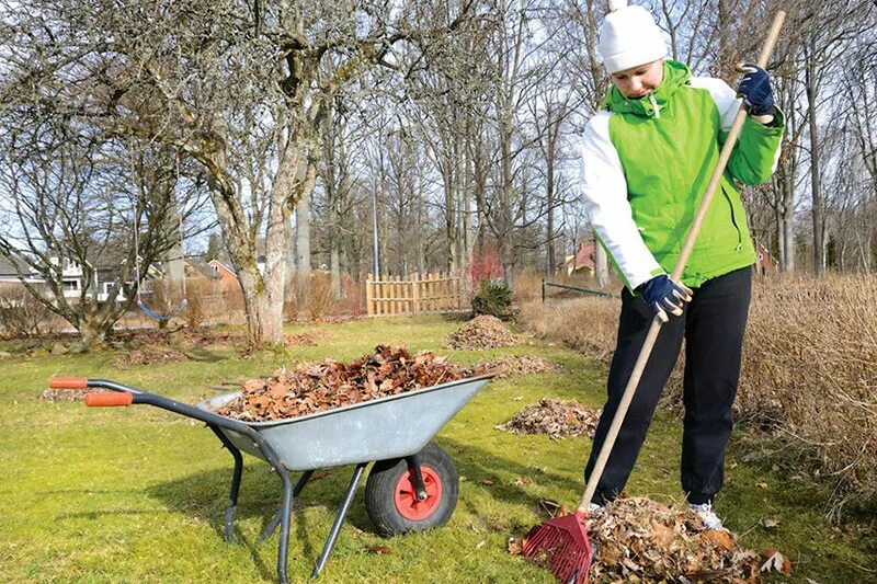 подработка в садах. подработка в садах. сад и огород. работа в саду. садовний.