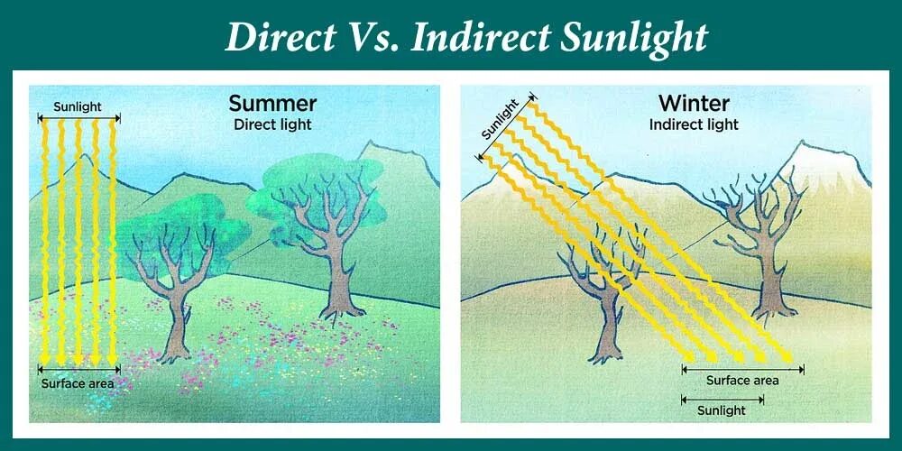 Sunlight direct. Direct sunlight. direct indirect light. предложение с direct sunlight. direct light indirect light.