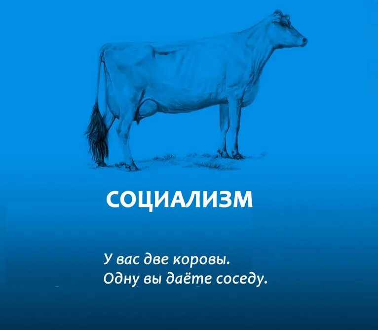 простоквашино корова гаврюша. социализм на коровах. у меня две коровы есть. объяснение на коровах. матроскин и две коровы.
