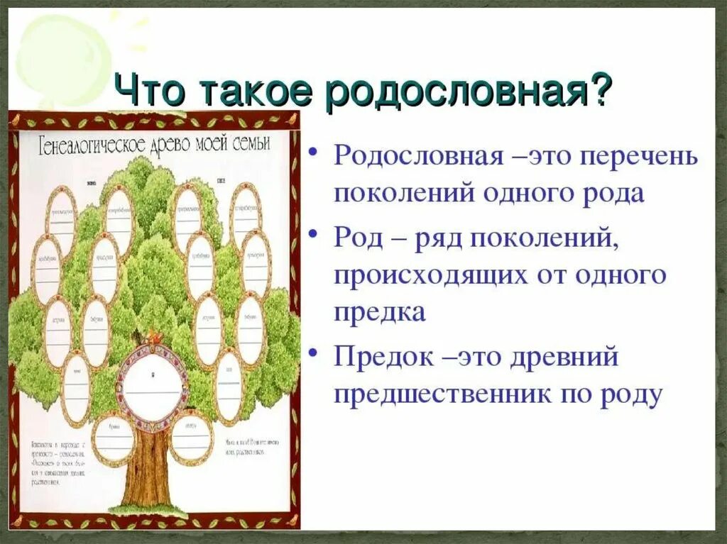 Родословная Древо 2 класс окружающий мир. Как составить родословную семьи образец 2 класс. Родословная Древо 3 класс окружающий мир. Как составить родословную семьи образец 3 класс. Что значит древа