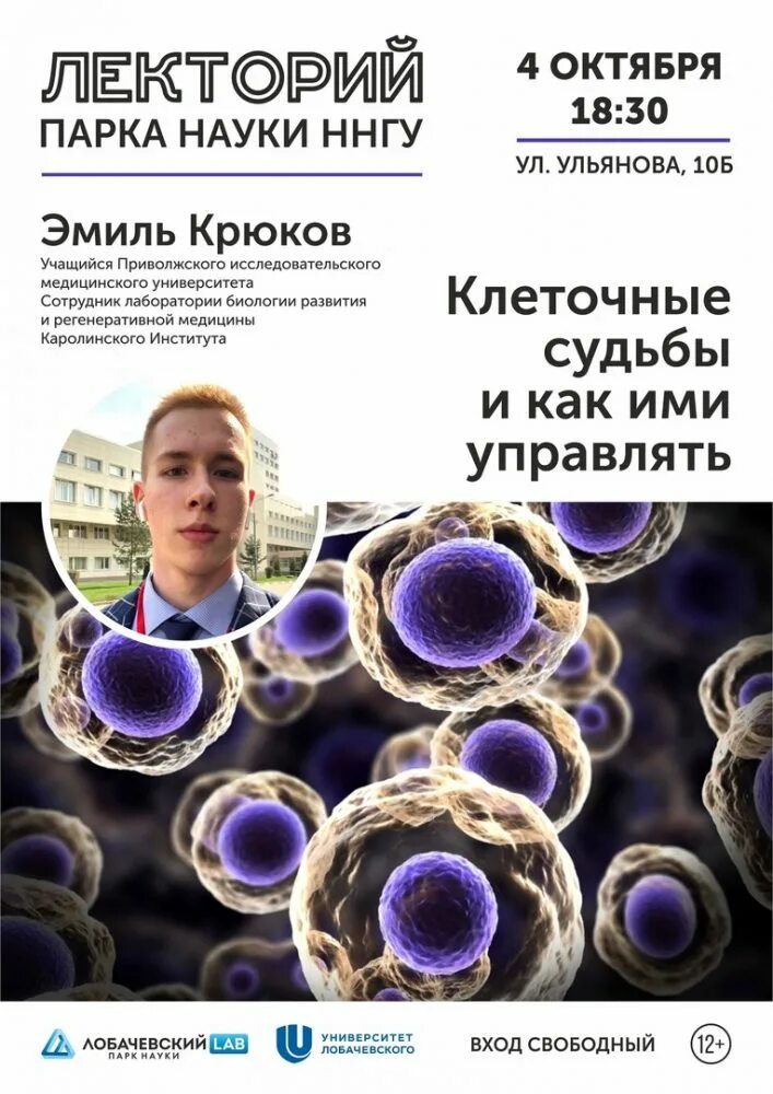 Фагоцитоз апоптоз. Клетки судьбы. Ннгу лекторий парк науки. Системная медицина. Вирусный гепатит с взаимодействие с клеткой.