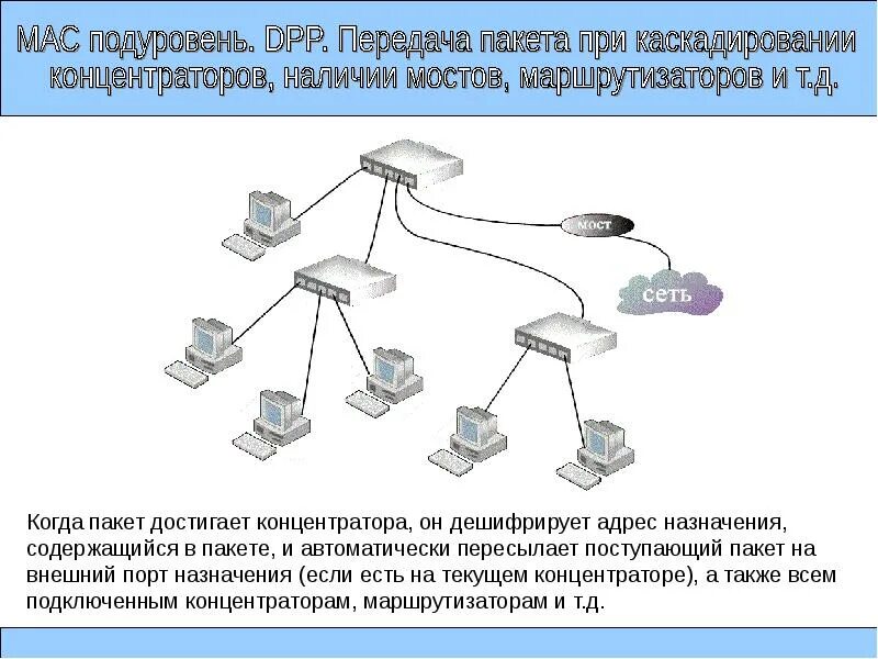 Архитектура сети Ethernet. Ethernet сетевой мост. ETTH схема сети. Сеть Ethernet и сеть token Ring.