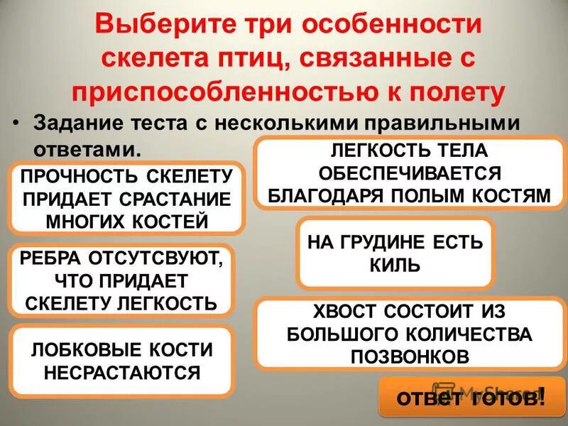 Какие особенности скелета птиц связаны с полетом. Особенности скелета связанные с приспособленностью птиц к полету. Особенности скелета птиц связанные с полетом. Какие особенности скелета птицы связаны с полётом. Особенности скелета птиц для полета.