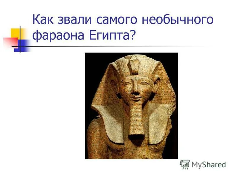 Человек прямоходящий питекантроп. Человек умелый homo habilis. Как звали самого первого на земле пешехода. Хомо хабилис. Как старшего брата зовут.