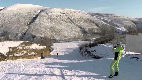 Ельшанка камышинский