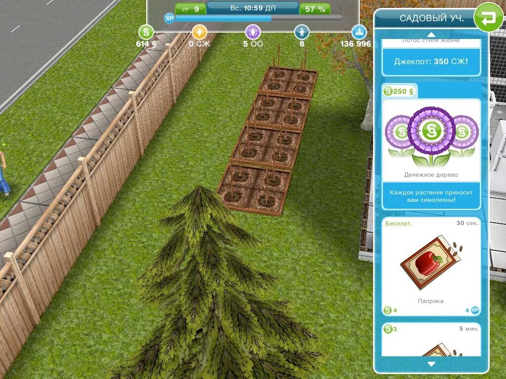 Купить игры сим. Денежное дерево в симс фриплей. Как вырастить денежное дерево в симс фриплей. Денежное дерево симс. The SIMS FREEPLAY растение симоед.