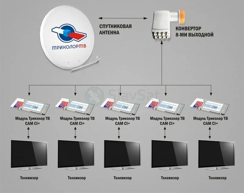 Триколор на моем телефоне. Схема подключения спутниковой антенны на 2 телевизора. Триколор на 3 телевизора схема. Схема подключения Триколор к смарт ТВ. Ресивер Триколор на 3 телевизора.