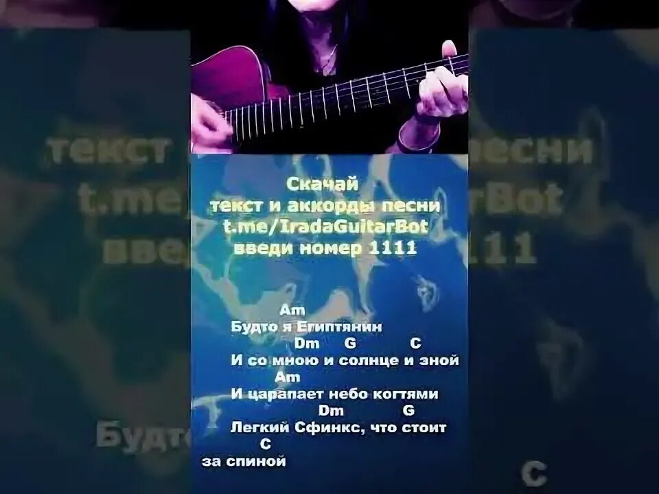 Египтянин на гитаре. Египтянин аккорды.