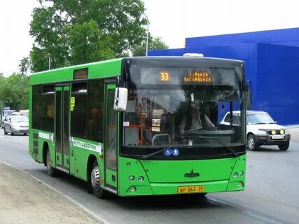 Bus 33