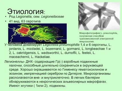 Внешний возбудитель